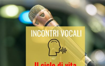 Incontri vocali: Il ciclo di vita della famiglia ( 1 parte)