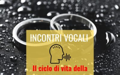 Il ciclo di vita della famiglia: i momenti nodali di sviluppo.